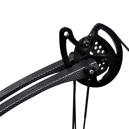 Adult Compound Bow Set with Fiberglass Arrows Accessories