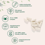 Zinc Supplement Capsules