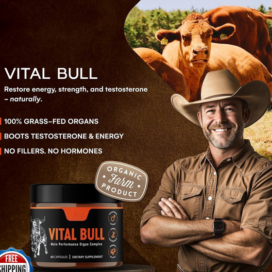 Male Vitality Supplement Beef Liver Capsules product image 2