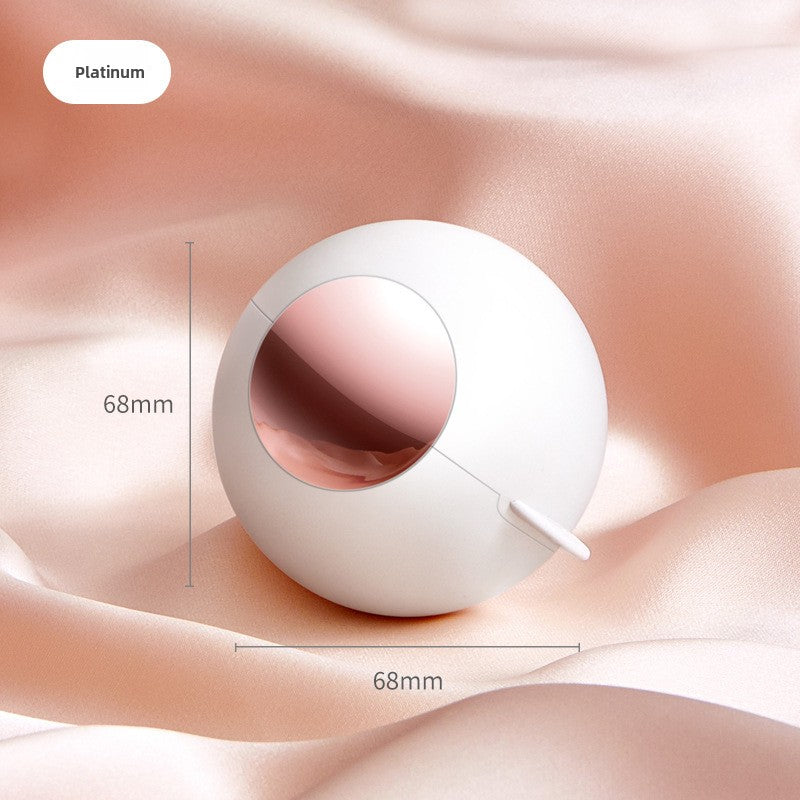 Washable Lint Roller for Home Use