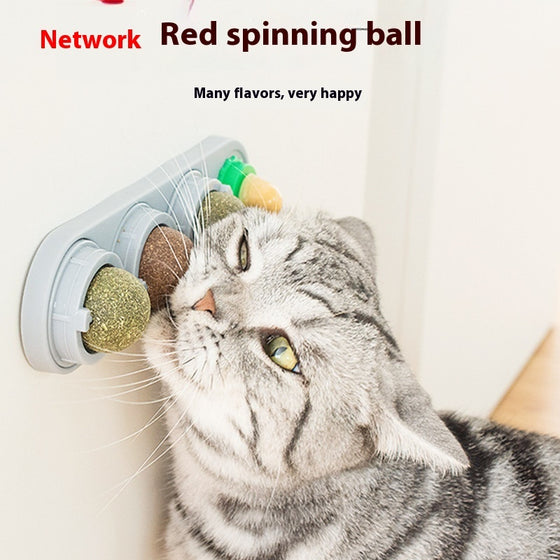 Tabby cat rubbing its face on a wall-mounted catnip ball toy