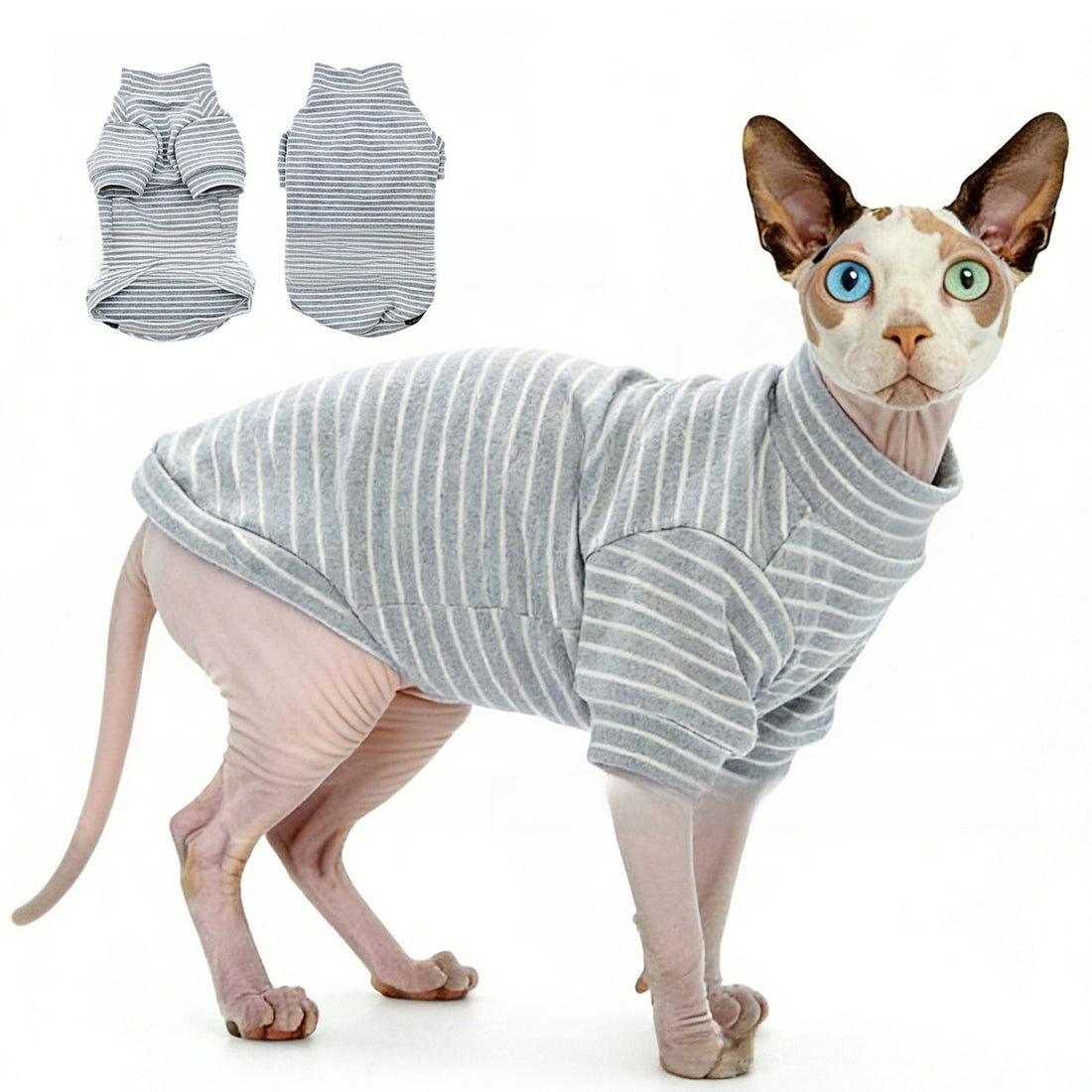 Pet Clothing