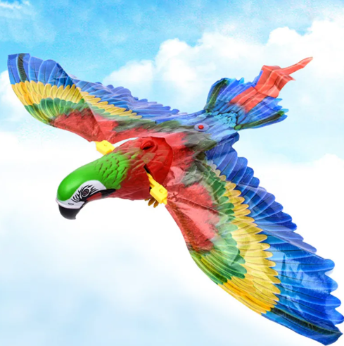 Soaring Eagle cat teaser, size reference