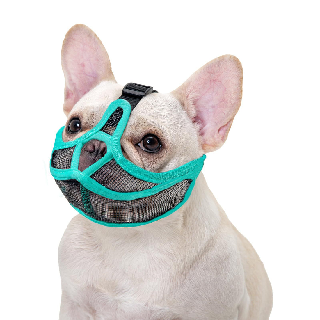 Breathable Dog Muzzle for French Bulldog Pug Anti Biting Pet Mask