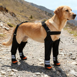 Pet Dog Shoes with Reflective Strips