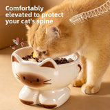 Ceramic Cat Dog Food Bowl with Anti-Slip Design