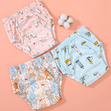 Toilet Training Pants