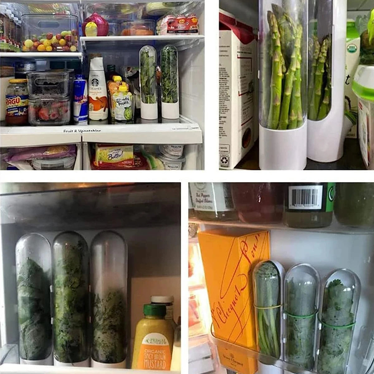 Container shown holding a bunch of parsley