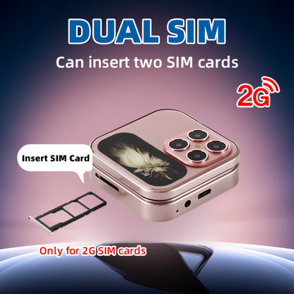 2G Mini Dual SIM Compact Phone