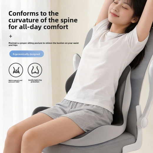 Memory Foam Lumbar Support Seat Cushion