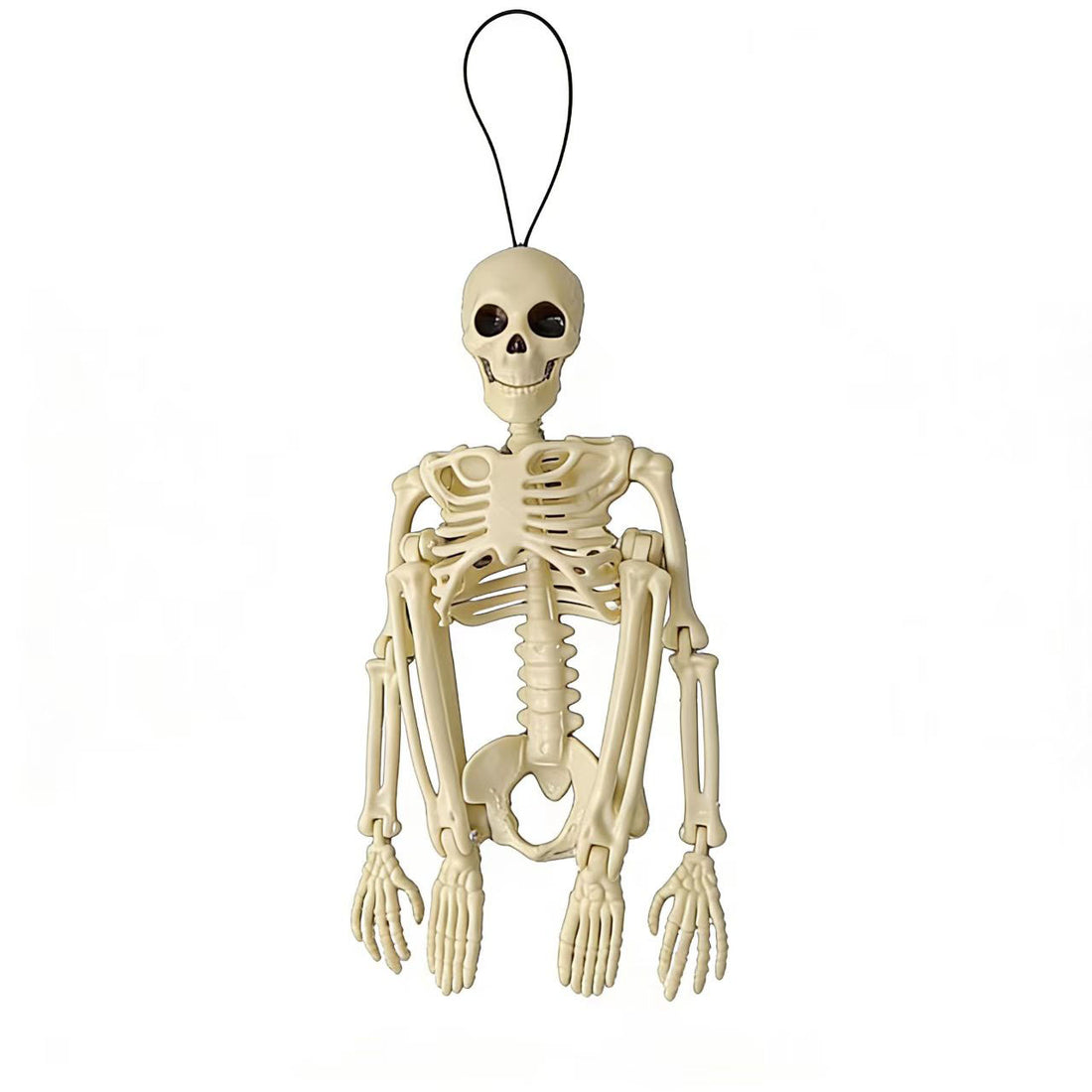 Halloween Horror Skeleton Bones