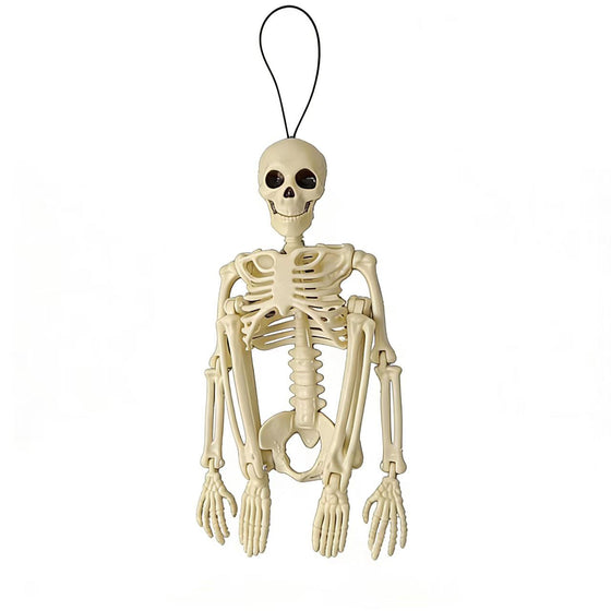 Halloween Horror Skeleton Bones