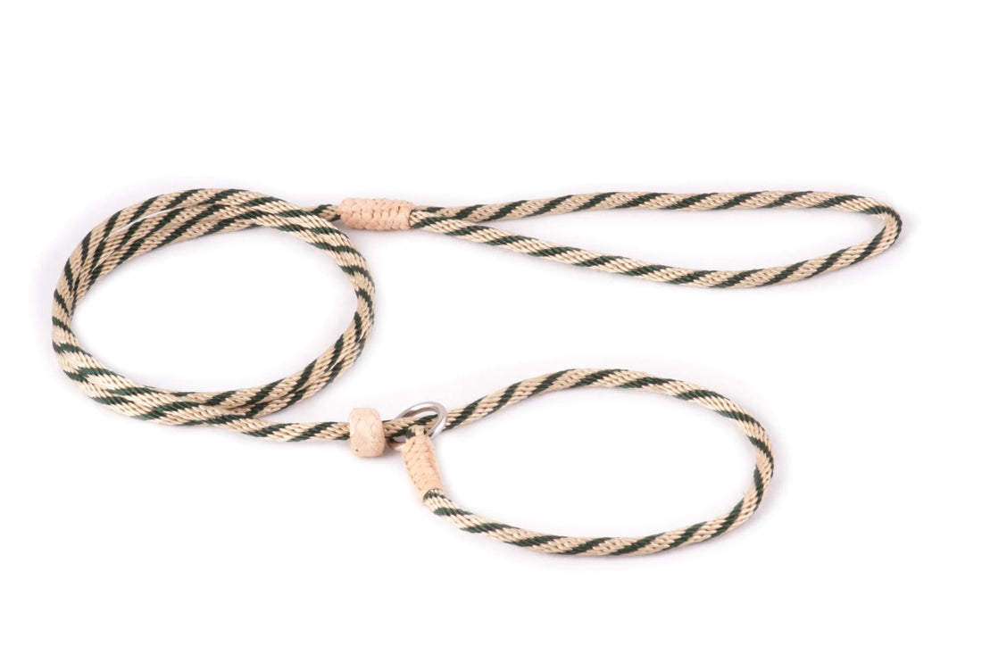 Nylon Slip Lead With Stopper (4 ft  x 1/8in or 4mm)