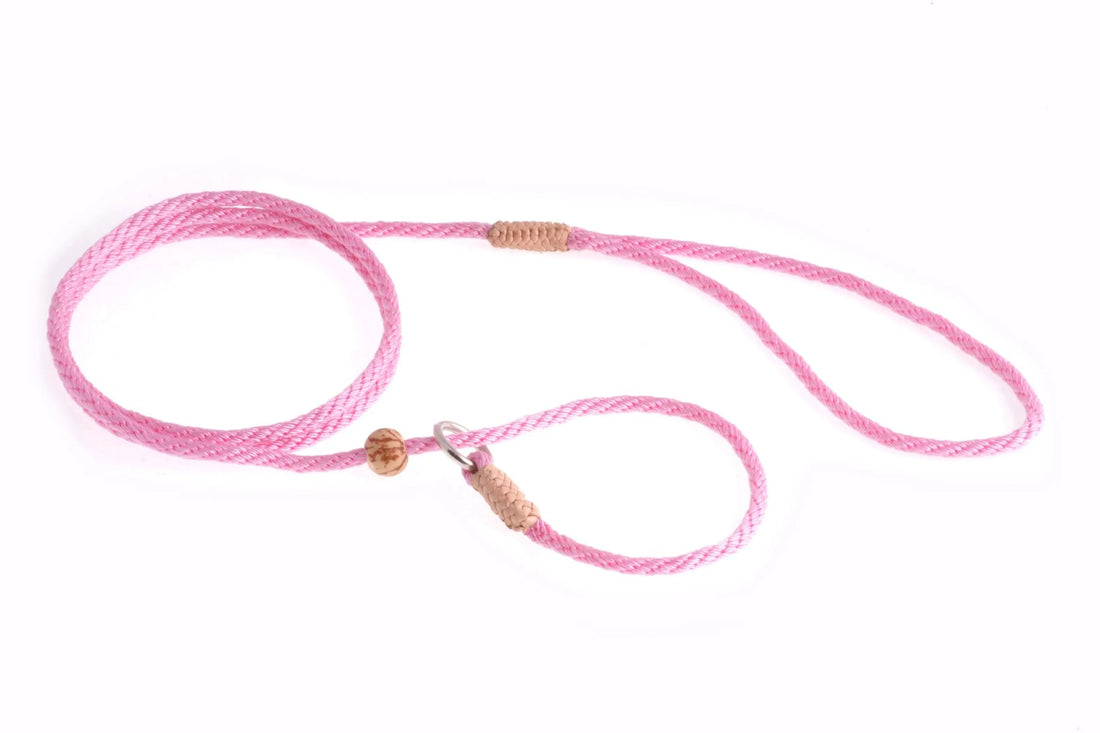 Nylon Slip Lead With Stopper (4 ft  x 1/8in or 4mm)