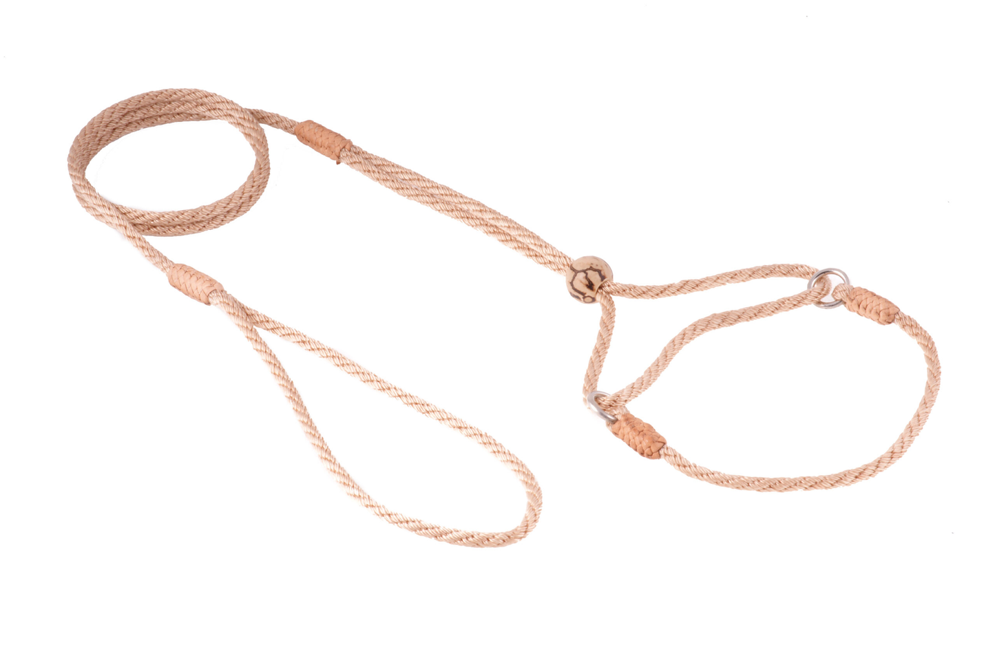Alvalley Nylon Martingale Lead (8 in x 4 mm)