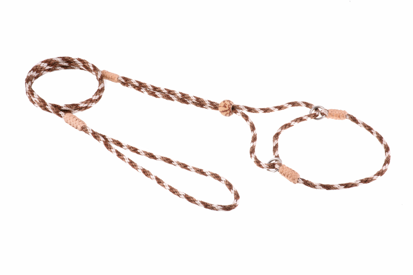 Alvalley Nylon Martingale Lead (8 in x 4 mm)