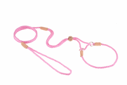 Alvalley Nylon Martingale Lead (10 in x 4 mm)