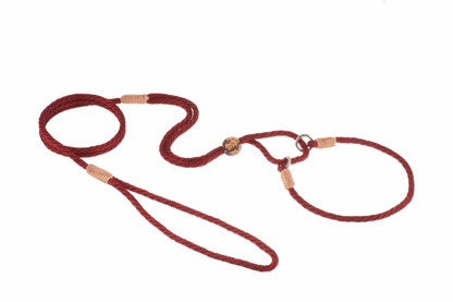 Alvalley Nylon Martingale Lead (10 in x 4 mm)