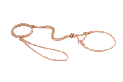 Alvalley Nylon Martingale Lead (10 in x 4 mm)
