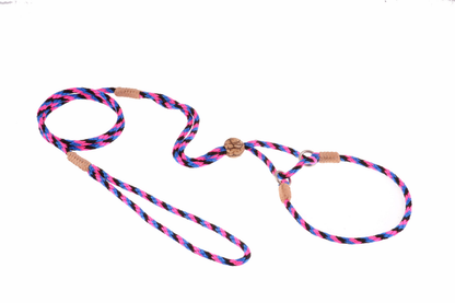 Alvalley Nylon Martingale Lead (10 in x 4 mm)