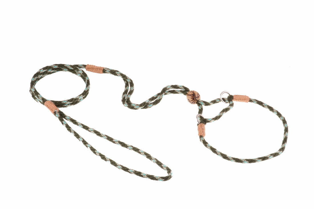 Nylon Martingale Leads (10in x 1/8in or 4mm)