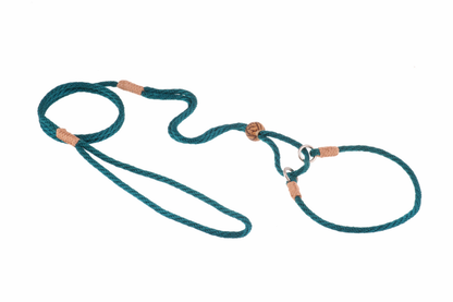 Alvalley Nylon Martingale Lead (10 in x 4 mm)