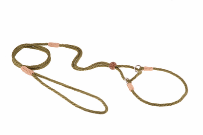 Alvalley Nylon Martingale Lead (10 in x 4 mm)