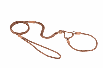 Alvalley Nylon Martingale Lead (10 in x 4 mm)