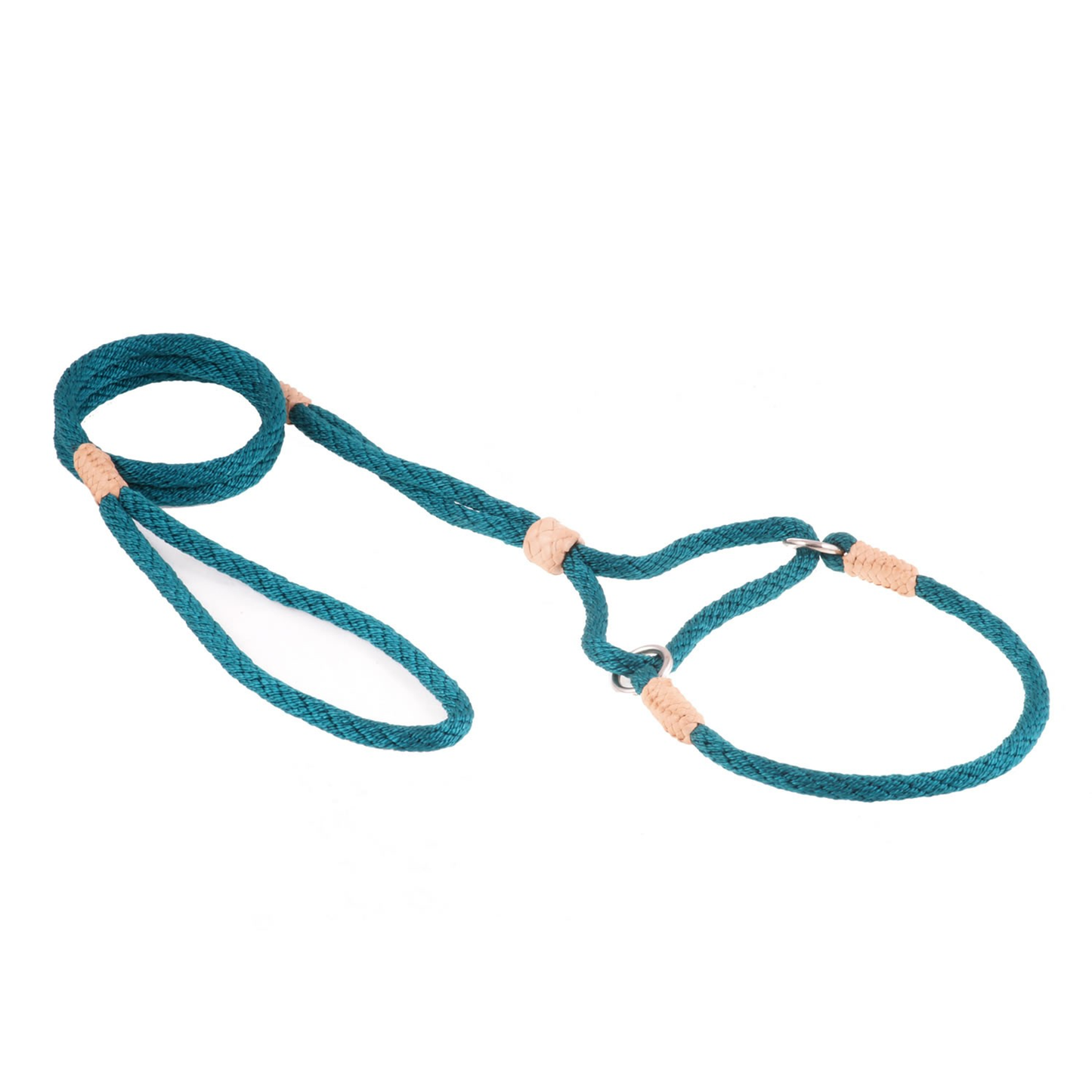 Alvalley Nylon Martingale Lead (10 in x 6 mm)