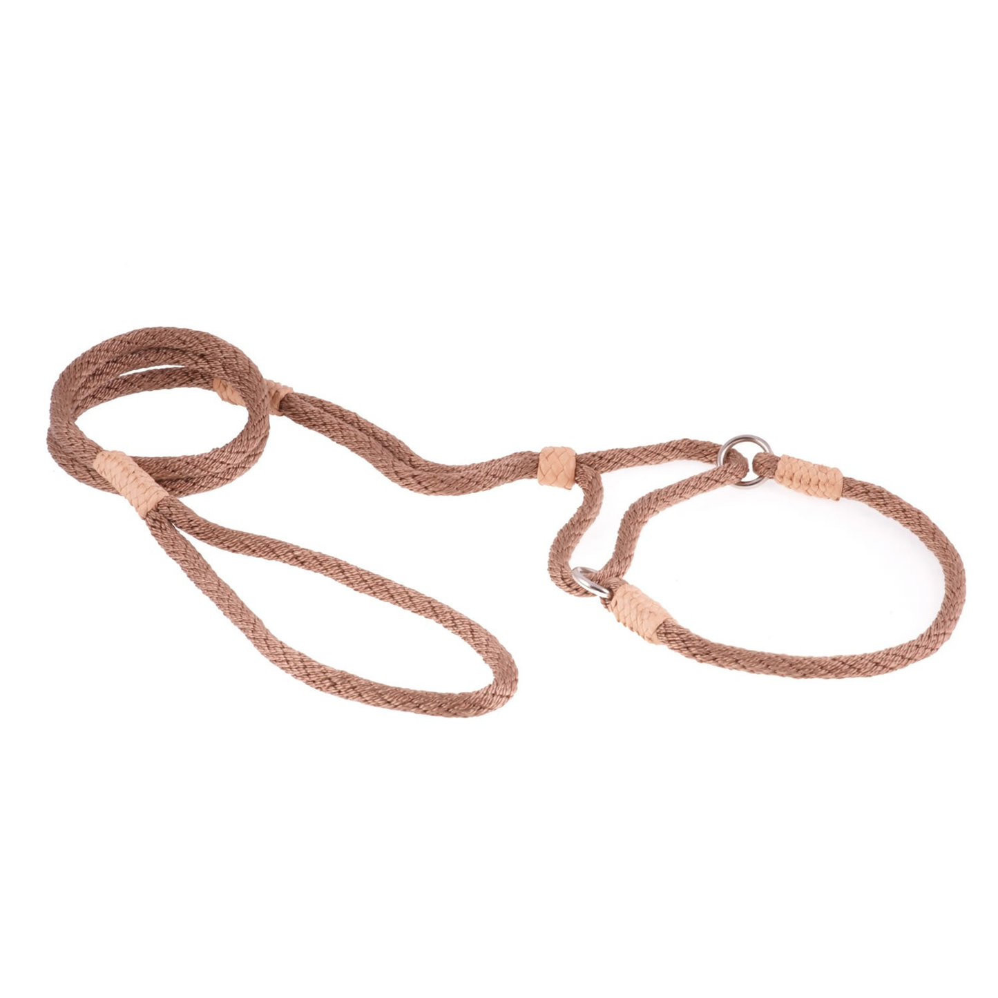 Alvalley Nylon Martingale Lead (10 in x 6 mm)