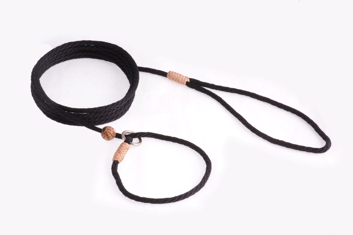 Alvalley Nylon Slip Lead with Stopper (6 ft x 4 mm)