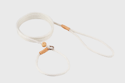 Alvalley Nylon Slip Lead with Stopper (6 ft x 4 mm)