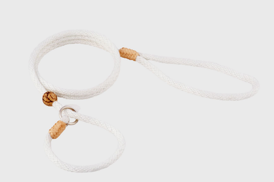 Alvalley Nylon Slip Lead with Stopper (4 ft x 6 mm)