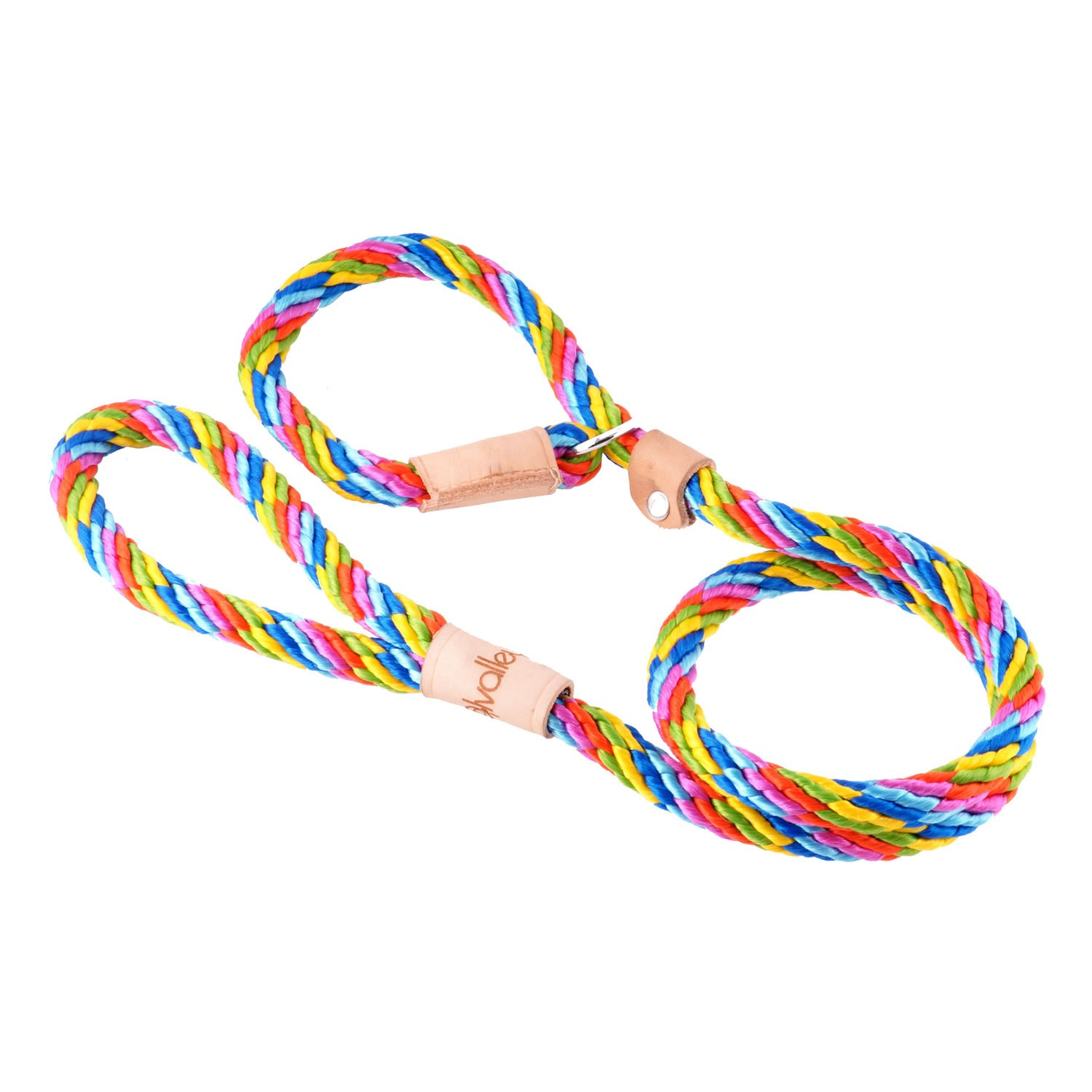 Alvalley Sport Slip Lead with Stopper (6 ft x 13 mm)