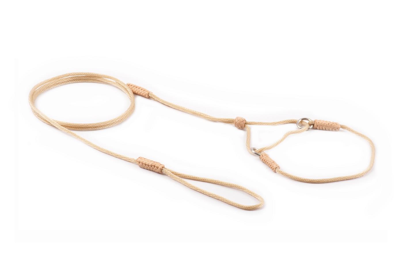 Alvalley Nylon Martingale Lead (8 in x 2 mm)