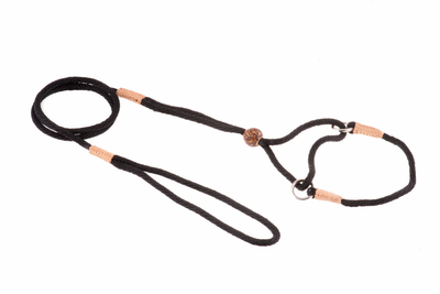 Alvalley Nylon Martingale Lead (8 in x 4 mm)