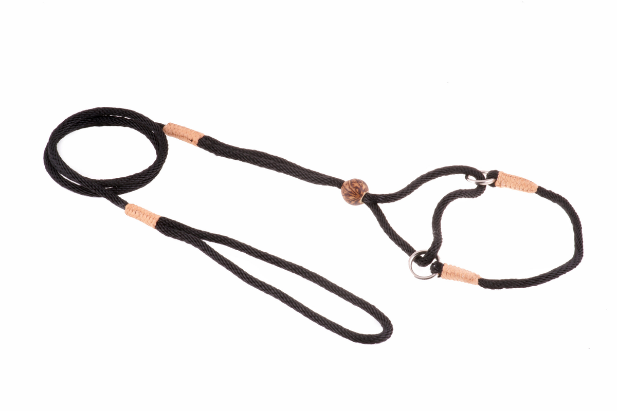 Alvalley Nylon Martingale Lead (8 in x 4 mm)