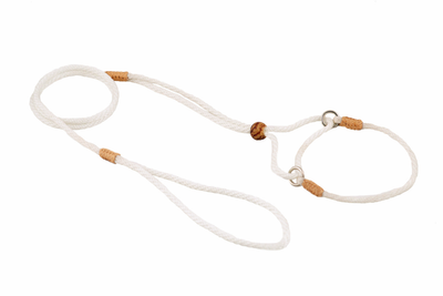 Alvalley Nylon Martingale Lead (8 in x 4 mm)