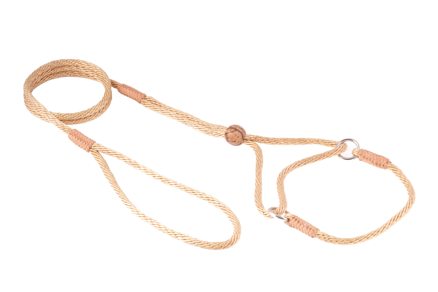 Alvalley Nylon Martingale Lead (8 in x 4 mm)