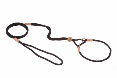 Alvalley Nylon Martingale Lead (10 in x 4 mm)