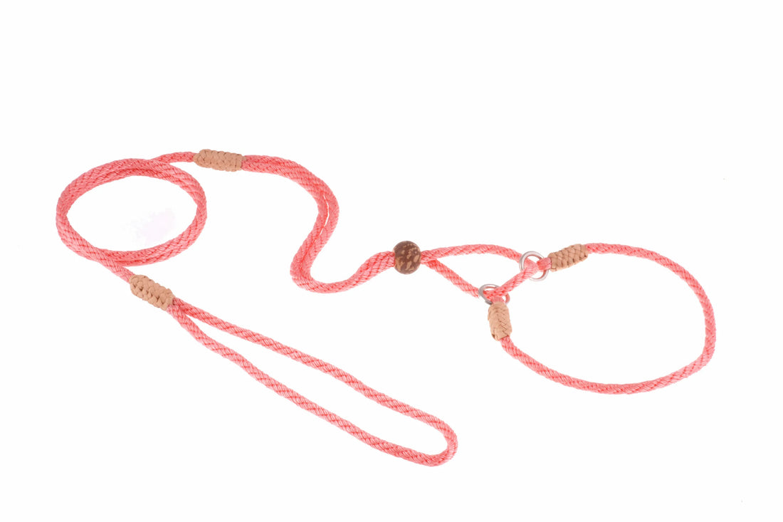 Nylon Martingale Leads (10in x 1/8in or 4mm)