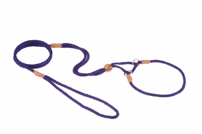Alvalley Nylon Martingale Lead (10 in x 4 mm)