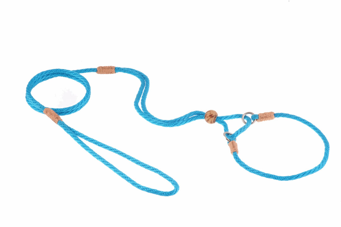 Nylon Martingale Leads (10in x 1/8in or 4mm)