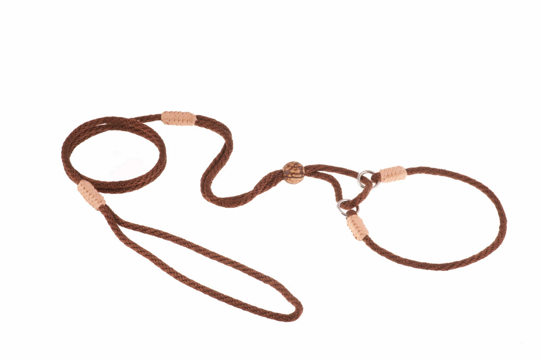 Nylon Martingale Leads (10in x 1/8in or 4mm)