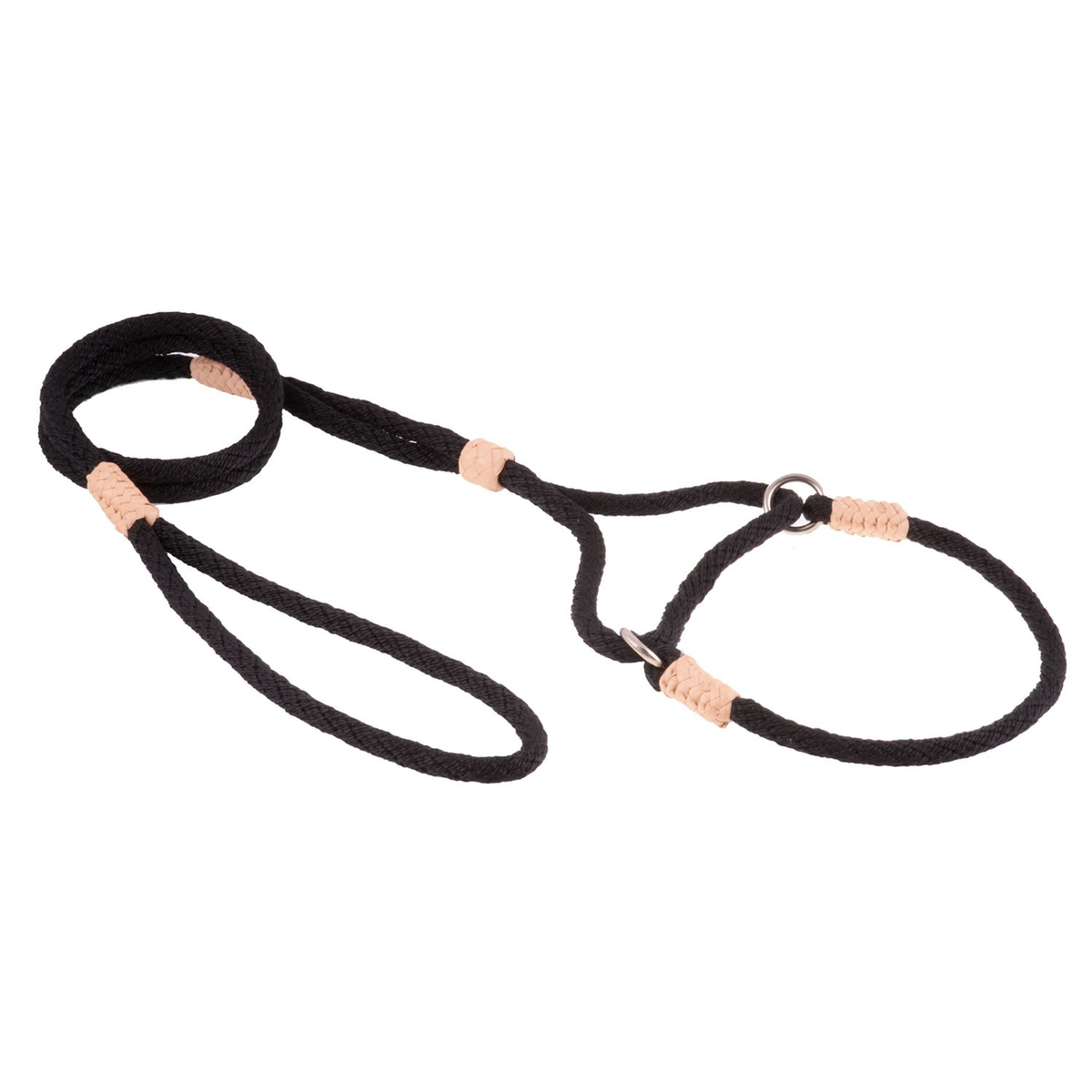 Alvalley Nylon Martingale Lead (10 in x 6 mm)