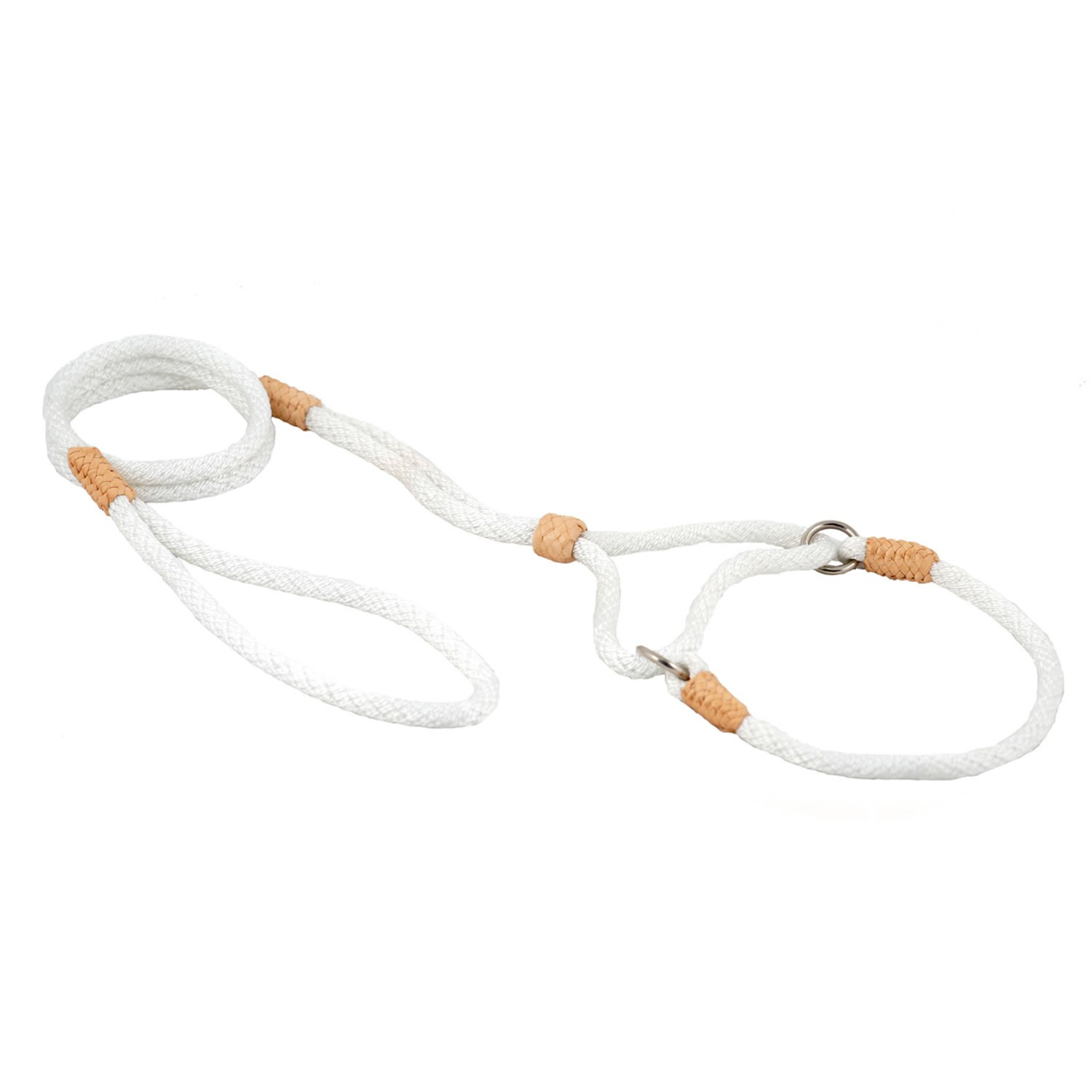Alvalley Nylon Martingale Lead (10 in x 6 mm)