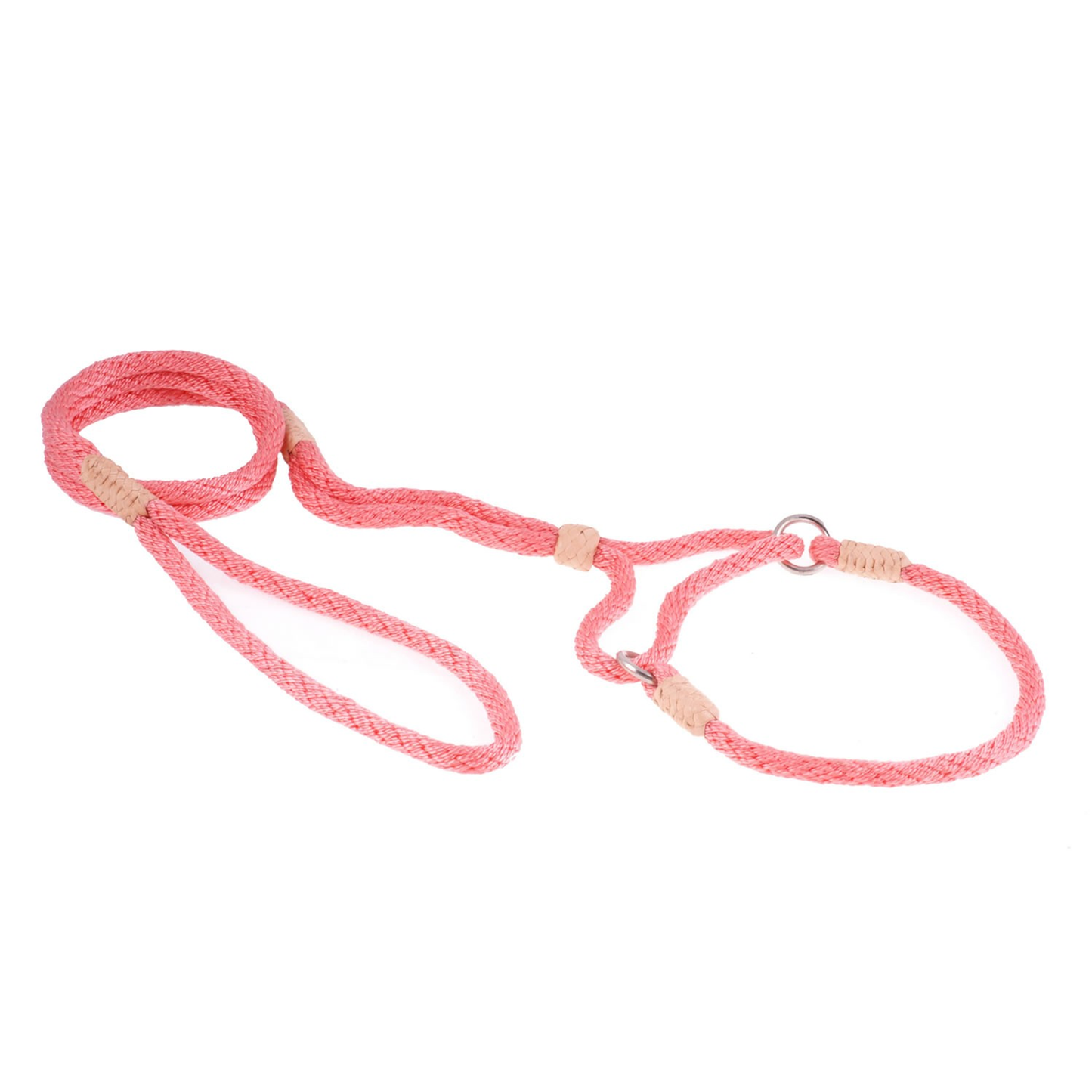 Alvalley Nylon Martingale Lead (10 in x 6 mm)