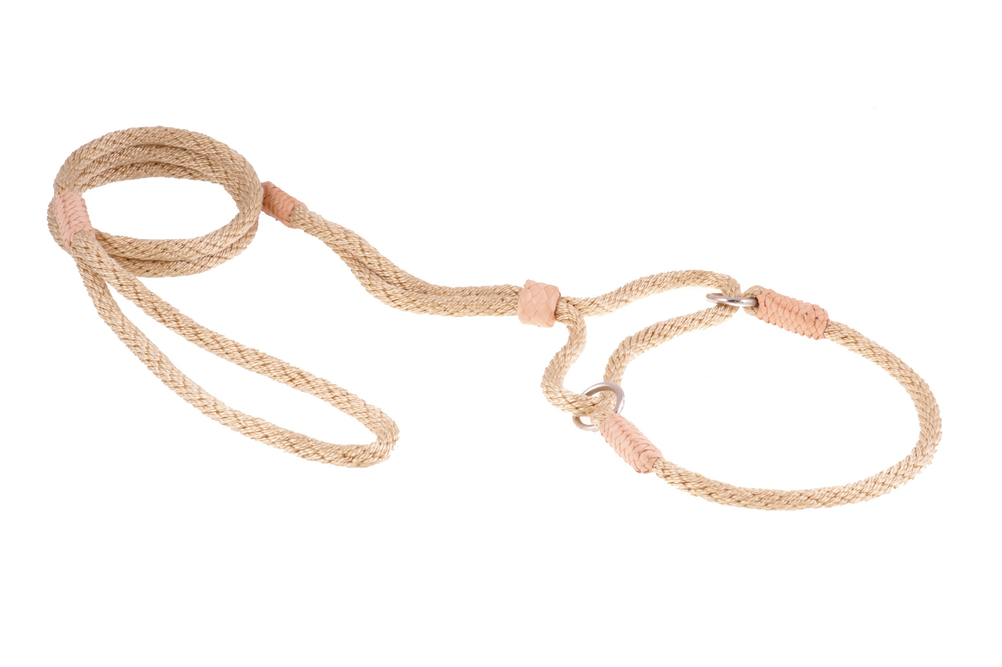 Alvalley Nylon Martingale Lead (10 in x 6 mm)