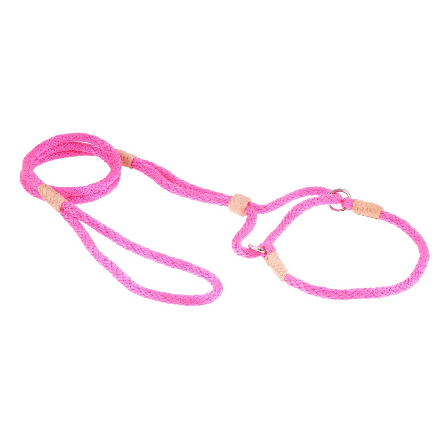Alvalley Nylon Martingale Lead (10 in x 6 mm)