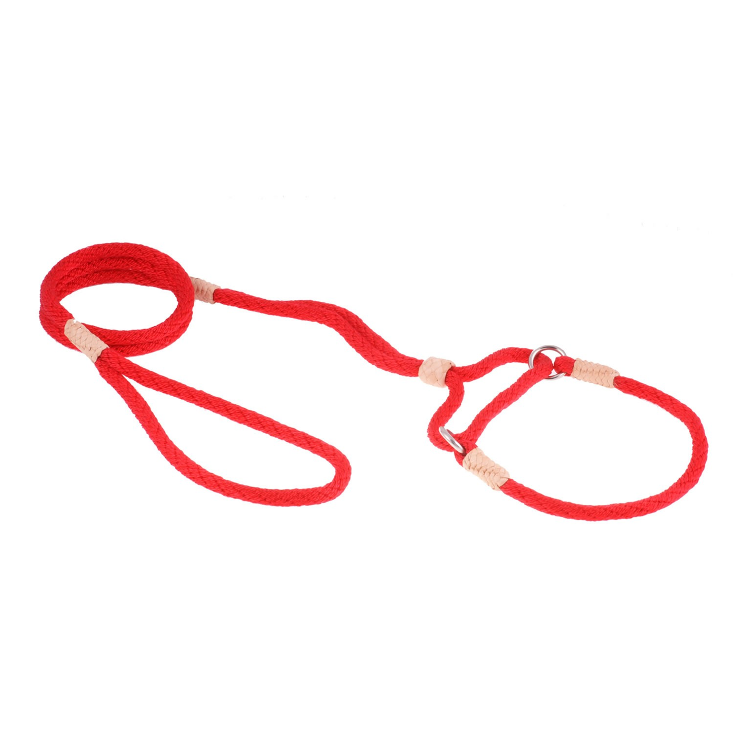Alvalley Nylon Martingale Lead (10 in x 6 mm)